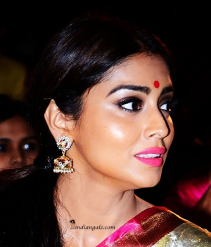 Shriya Saran 24d (1)